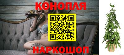 ПСИЛОЦИБИНОВЫЕ ГРИБЫ Коммунар