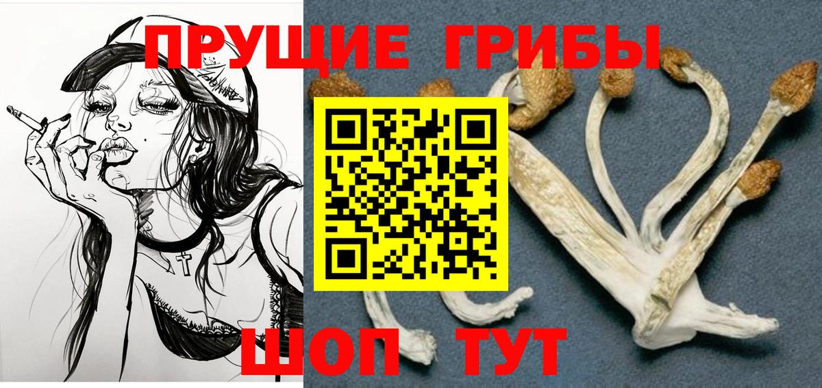 Псилоцибиновые грибы Magic Shrooms  Вход с VPN  Черногорск 