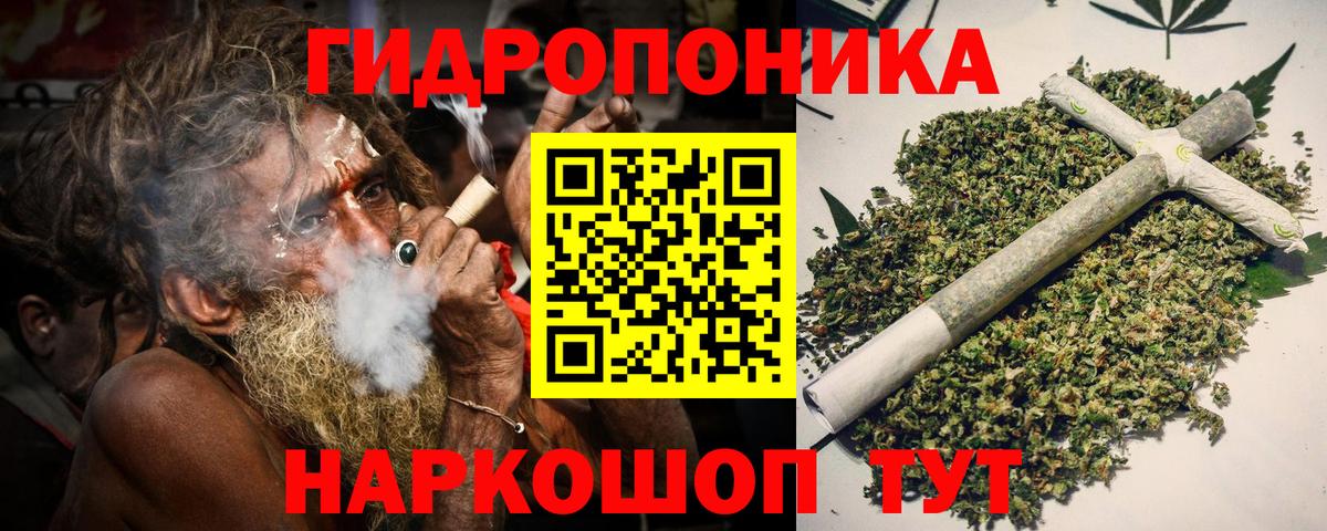 Каннабис планчик  МАРИХУАНА планчик  Каннабис семена  Черногорск  Вход с VPN 